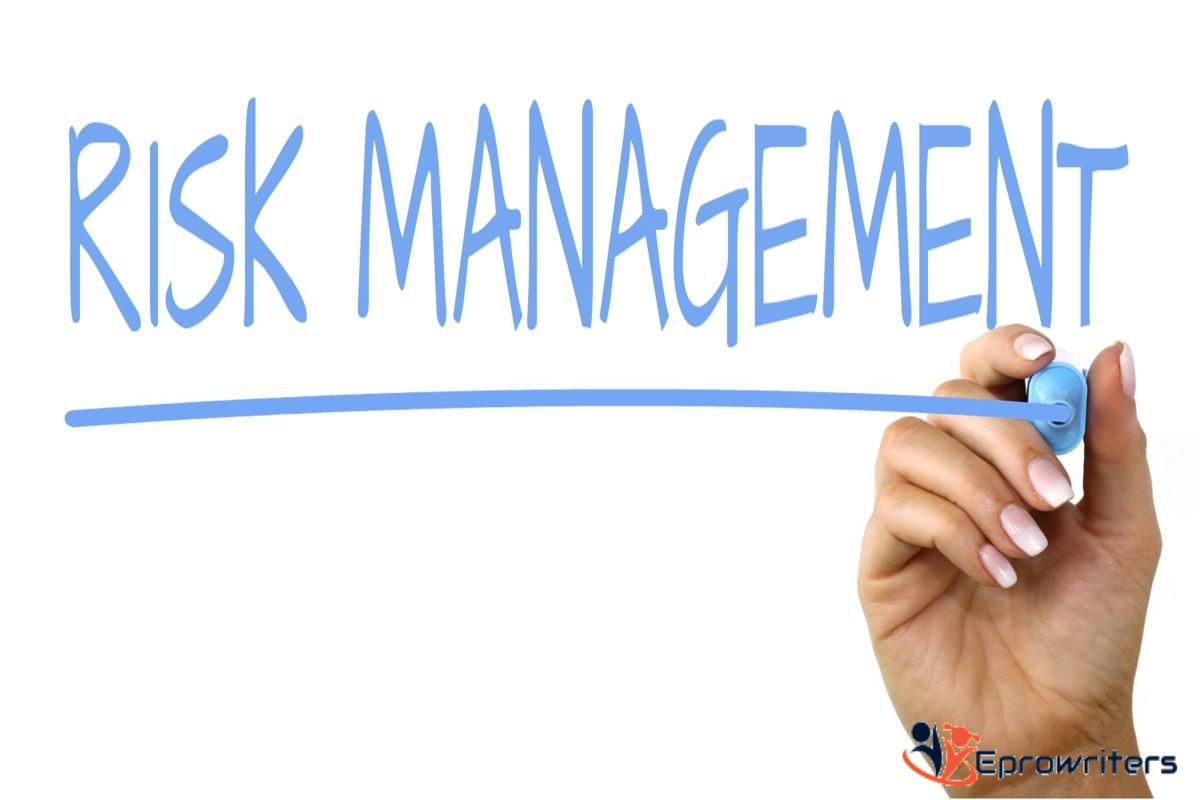 Educational Program: Risk Management Strategies in a Health Care Organization